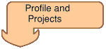Profile and projects